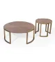 FOSİL ORTA SEHPA 