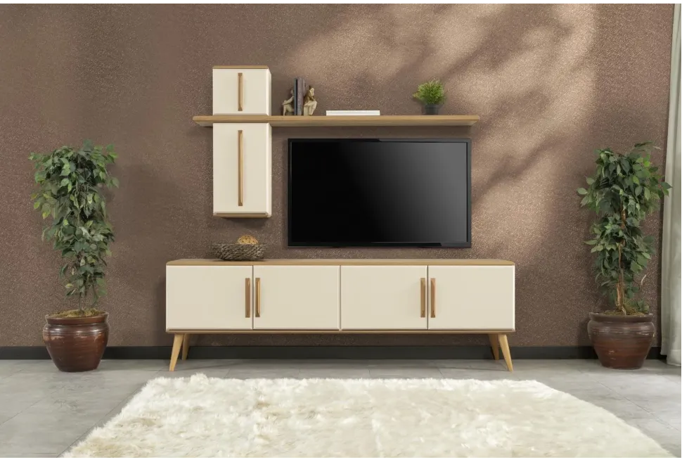 LİSA TV ÜNİTESİ